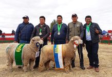 𝗣𝗥𝗢𝗬𝗘𝗖𝗧𝗢 𝗢𝗩𝗜𝗡𝗢𝗦 𝗡𝗢𝗥𝗧𝗘 𝗕𝗘𝗡𝗘𝗙𝗜𝗖𝗜𝗔𝗥𝗔́ 𝗔 𝗠𝗔́𝗦 𝗗𝗘 𝟲 𝗠𝗜𝗟 𝗦𝗘𝗧𝗘𝗖𝗜𝗘𝗡𝗧𝗢𝗦 𝗣𝗥𝗢𝗗𝗨𝗖𝗧𝗢𝗥𝗘𝗦