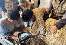 𝗦𝗘𝗟𝗘𝗖𝗖𝗜𝗢́𝗡 𝗗𝗘 𝗩𝗜𝗘𝗡𝗧𝗥𝗘𝗦 𝗣𝗔𝗥𝗔 𝗜𝗡𝗦𝗘𝗠𝗜𝗡𝗔𝗖𝗜𝗢́𝗡 𝗔𝗥𝗧𝗜𝗙𝗜𝗖𝗜𝗔𝗟 𝗔 𝗧𝗜𝗘𝗠𝗣𝗢 𝗙𝗜𝗝𝗢: 𝗨𝗡𝗔 𝗙𝗢𝗥𝗧𝗔𝗟𝗘𝗭𝗔 𝗗𝗘𝗟 𝗣𝗥𝗢𝗬𝗘𝗖𝗧𝗢 𝗢𝗩𝗜𝗡𝗢𝗦 𝗡𝗢𝗥𝗧𝗘