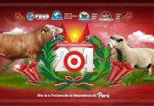 FELICES FIESTAS PATRIAS