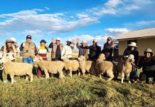 𝗢𝗩𝗜𝗡𝗢𝗦 𝗡𝗢𝗥𝗧𝗘 𝗩𝗘𝗥𝗜𝗙𝗜𝗖𝗔 𝗖𝗢𝗡𝗗𝗜𝗖𝗜𝗢𝗡𝗘𝗦 𝗥𝗘𝗣𝗥𝗢𝗗𝗨𝗖𝗧𝗜𝗩𝗔𝗦 𝗬 𝗧𝗘́𝗖𝗡𝗜𝗖𝗔𝗦 𝗣𝗔𝗥𝗔 𝗔𝗣𝗟𝗜𝗖𝗔𝗥 𝗠𝗘𝗝𝗢𝗥𝗔 𝗚𝗘𝗡𝗘́𝗧𝗜𝗖𝗔