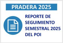 REPORTE DE SEGUIMIENTO SEMESTRAL 2025 DEL POI