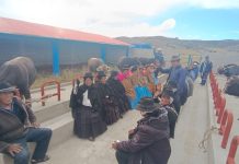 𝐏𝐑𝐎𝐘𝐄𝐂𝐓𝐎 𝐕𝐀𝐂𝐔𝐍𝐎𝐒 𝐂𝐀𝐑𝐍𝐄 𝐅𝐎𝐑𝐓𝐀𝐋𝐄𝐂𝐄 𝐒𝐄𝐆𝐔𝐈𝐌𝐈𝐄𝐍𝐓𝐎 𝐓𝐄́𝐂𝐍𝐈𝐂𝐎 𝐘 𝐂𝐎𝐍𝐒𝐎𝐋𝐈𝐃𝐀𝐂𝐈𝐎́𝐍 𝐃𝐄 𝐎𝐁𝐉𝐄𝐓𝐈𝐕𝐎𝐒