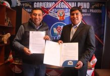 𝐅𝐈𝐑𝐌𝐀𝐌𝐎𝐒 𝐂𝐎𝐍𝐕𝐄𝐍𝐈𝐎 𝐏𝐀𝐑𝐀 𝐌𝐄𝐉𝐎𝐑𝐀𝐌𝐈𝐄𝐍𝐓𝐎 𝐆𝐄𝐍É𝐓𝐈𝐂𝐎 𝐆𝐀𝐍𝐀𝐃𝐄𝐑𝐎 𝐄𝐍 𝐏𝐋𝐀𝐓𝐄𝐑Í𝐀