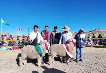 𝗣𝗥𝗢𝗬𝗘𝗖𝗧𝗢 𝗢𝗩𝗜𝗡𝗢𝗦 𝗡𝗢𝗥𝗧𝗘 𝗔𝗣𝗢𝗬𝗔 𝗖𝗢𝗡 𝗝𝗨𝗘𝗖𝗘𝗦 𝗗𝗘 𝗣𝗜𝗦𝗧𝗔 𝗘𝗡 𝗘𝗩𝗘𝗡𝗧𝗢𝗦 𝗙𝗘𝗥𝗜𝗔𝗟𝗘𝗦