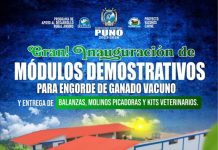 𝐆𝐑𝐀𝐍 𝐈𝐍𝐀𝐔𝐆𝐔𝐑𝐀𝐂𝐈𝐎́𝐍 𝐃𝐄 𝐌𝐎́𝐃𝐔𝐋𝐎𝐒 𝐃𝐄𝐌𝐎𝐒𝐓𝐑𝐀𝐓𝐈𝐕𝐎𝐒 𝐏𝐀𝐑𝐀 𝐄𝐍𝐆𝐎𝐑𝐃𝐄 𝐃𝐄 𝐆𝐀𝐍𝐀𝐃𝐎 𝐕𝐀𝐂𝐔𝐍𝐎 𝐘 𝐄𝐍𝐓𝐑𝐄𝐆𝐀 𝐃𝐄 𝐁𝐀𝐋𝐀𝐍𝐙𝐀𝐒, 𝐌𝐎𝐋𝐈𝐍𝐎𝐒 𝐏𝐈𝐂𝐀𝐃𝐎𝐑𝐀𝐒 𝐘 𝐊𝐈𝐓𝐒 𝐕𝐄𝐓𝐄𝐑𝐈𝐍𝐀𝐑𝐈𝐎𝐒