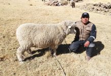 𝗠𝗘𝗟𝗚𝗔𝗥 𝗬 𝗔𝗭𝗔́𝗡𝗚𝗔𝗥𝗢 𝗟𝗜𝗦𝗧𝗢𝗦 𝗣𝗔𝗥𝗔 𝗟𝗔 𝗠𝗘𝗝𝗢𝗥𝗔 𝗚𝗘𝗡𝗘́𝗧𝗜𝗖𝗔 𝗢𝗩𝗜𝗡𝗔