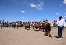 𝐓𝐎𝐑𝐎 𝐑𝐀𝐘𝐌𝐈 𝐅𝐄𝐀𝐆𝐑𝐎 𝟐𝟎𝟐𝟓: 𝐔𝐍𝐀 𝐅𝐈𝐄𝐒𝐓𝐀 𝐐𝐔𝐄 𝐅𝐎𝐑𝐓𝐀𝐋𝐄𝐂𝐄 𝐋𝐀 𝐆𝐀𝐍𝐀𝐃𝐄𝐑𝐈́𝐀 𝐘 𝐀𝐁𝐑𝐄 𝐍𝐔𝐄𝐕𝐀𝐒 𝐎𝐏𝐎𝐑𝐓𝐔𝐍𝐈𝐃𝐀𝐃𝐄𝐒 𝐏𝐀𝐑𝐀 𝐋𝐎𝐒 𝐏𝐑𝐎𝐃𝐔𝐂𝐓𝐎𝐑𝐄𝐒