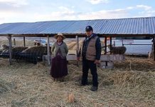 𝗔𝗦𝗢𝗖𝗜𝗔𝗖𝗜𝗢𝗡𝗘𝗦 𝗢𝗩𝗜𝗡𝗔𝗦 𝗔𝗩𝗔𝗡𝗭𝗔𝗡 𝗛𝗔𝗖𝗜𝗔 𝗟𝗔 𝗠𝗘𝗝𝗢𝗥𝗔 𝗚𝗘𝗡𝗘́𝗧𝗜𝗖𝗔