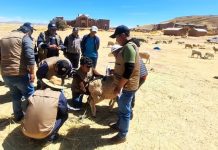 ππ₯ππ£π – πππΜπ‘πππ₯π’ π π£ππ¦π’ πππ₯π π πππππ ππ π πππ’π₯ππ πππ‘π§π’ πππ‘πΜπ§πππ’