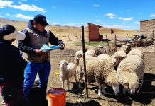 ππ‘π¦ππ ππ‘ππππ’Μπ‘ ππ₯π§πππππππ π π§πππ π£π’ ππππ’ π¬ π πππ’π₯ππ πππ‘π§π’ πππ‘πΜπ§πππ’