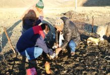 π’π©ππ‘π’π¦ π‘π’π₯π§π ππ₯ππ‘ππ ππ§ππ‘πππ’Μπ‘ π ππ’π₯πππ₯ππ§π’π¦ π₯ππππΜπ‘ π‘πππππ’π¦ ππ‘ πππ π£π