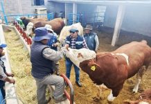 𝗧𝗢𝗥𝗢 𝗥𝗔𝗬𝗠𝗜 𝗛𝗨𝗔𝗡𝗖𝗔𝗡𝗘́ 𝟮𝟬𝟮𝟱: 𝗧𝗔𝗧𝗨𝗔𝗝𝗘 𝗣𝗥𝗘𝗩𝗜𝗢 𝗗𝗘 𝗧𝗢𝗥𝗢𝗦 𝗚𝗔𝗥𝗔𝗡𝗧𝗜𝗭𝗔 𝗤𝗨𝗘 𝗦𝗘𝗔𝗡 𝗗𝗘 𝗔𝗦𝗢𝗖𝗜𝗔𝗖𝗜𝗢𝗡𝗘𝗦 𝗗𝗘𝗟 𝗟𝗨𝗚𝗔𝗥