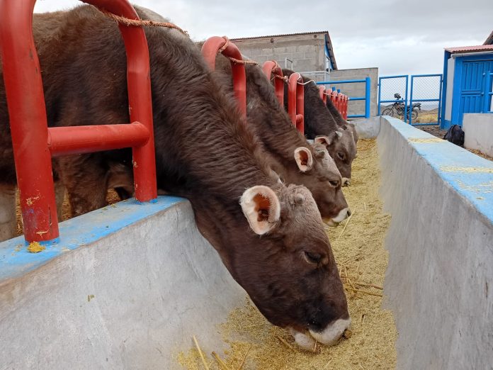 565824946_1435231684874407_8499407740009374809_n