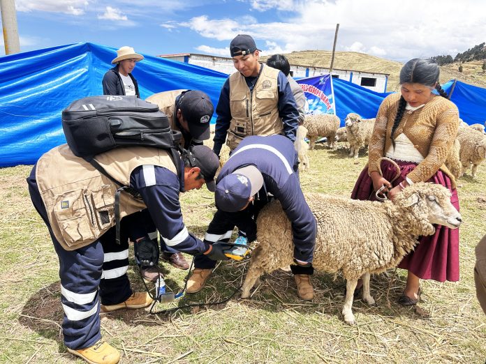 571467446_1445719620492280_4220197479292181401_n (1)