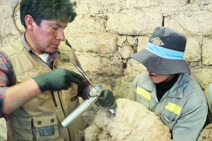 577468548_1453976362999939_8456809738645693623_n