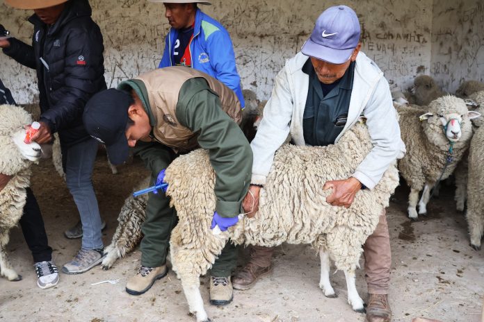 577767445_1452972206433688_6362919789362173020_n