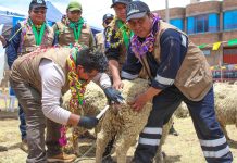 πππ π£π π¦π π¨π‘π π ππ π£π¨ππ¦ππ₯ ππ π πππ’π₯ππ πππ‘π§π’ πππ‘πΜπ§πππ’ π’π©ππ‘π’