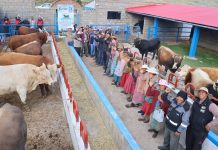 ππππππππππ ππππππππππ ππππππππ πππ ππ πππππππ ππ ππππππ πΓπππππ ππ πππππππ ππ ππππππ