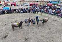 ๐๐ ๐ฃ๐จ๐๐ฆ๐๐ ๐ข๐ฆ ๐๐ข๐ก ร๐ซ๐๐ง๐ข ๐๐ ๐๐ฅ๐๐ก ๐ง๐ข๐ฅ๐ข ๐ฅ๐๐ฌ๐ ๐ ๐ค๐จ๐๐๐๐๐ฃ๐จ๐ก๐๐จ ๐ฎ๐ฌ๐ฎ๐ฑ: โ๐๐ข๐ก๐๐จ๐ฅ๐ฆ๐ข ๐๐๐ ๐ง๐ข๐ฅ๐ข ๐๐ก๐๐ข๐ฅ๐๐๐๐ขโ, ๐๐ข๐ฅ๐ง๐๐๐๐๐๐๐ก๐๐ข ๐๐ ๐๐๐ก๐๐๐๐ฅร๐ ๐ฅ๐๐๐๐ข๐ก๐๐