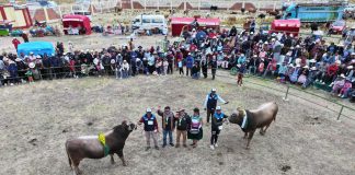 ๐๐ ๐ฃ๐จ๐๐ฆ๐๐ ๐ข๐ฆ ๐๐ข๐ก ร๐ซ๐๐ง๐ข ๐๐ ๐๐ฅ๐๐ก ๐ง๐ข๐ฅ๐ข ๐ฅ๐๐ฌ๐ ๐ ๐ค๐จ๐๐๐๐๐ฃ๐จ๐ก๐๐จ ๐ฎ๐ฌ๐ฎ๐ฑ: โ๐๐ข๐ก๐๐จ๐ฅ๐ฆ๐ข ๐๐๐ ๐ง๐ข๐ฅ๐ข ๐๐ก๐๐ข๐ฅ๐๐๐๐ขโ, ๐๐ข๐ฅ๐ง๐๐๐๐๐๐๐ก๐๐ข ๐๐ ๐๐๐ก๐๐๐๐ฅร๐ ๐ฅ๐๐๐๐ข๐ก๐๐