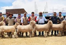 πππ‘π§π₯π’ ππ π₯ππ¦ππ₯π©π πππ‘πΜπ§πππ π¬ π£π₯ππ¦ππ‘π§ππππ’Μπ‘ ππ ππ’π¦ ππ¬ π ππππ’π¦ π₯ππ£π₯π’ππ¨ππ§π’π₯ππ¦ πππ π£π₯π’π¬πππ§π’ π’π©ππ‘π’π¦ π‘π’π₯π§π