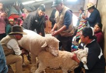 π£π₯π’π¬πππ§π’ π’π©ππ‘π’π¦ π‘π’π₯π§π π¦π π£π₯ππ£ππ₯π π£ππ₯π ππ π¦πππ¨π‘ππ ππ§ππ£π ππ ππ‘π¦ππ ππ‘ππππ’Μπ‘ ππ₯π§πππππππ π π§πππ π£π’ ππππ’