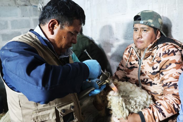 589063075_1472930914437817_7895371640227059041_n