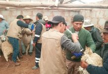 π£π¨π§ππ‘π π¬ π π’ππ’ ππ’π π£πππ§ππ‘ ππ’π₯π‘πππ ππ ππ‘π¦ππ ππ‘ππππ’Μπ‘ ππ₯π§πππππππ π π§πππ π£π’ ππππ’