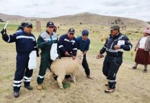 ππ π£ππππ π’π¦ ππ’πππ₯π§π¨π₯π ππ‘ πππΜπ‘πππ₯π’: ππ‘ππππ π¦πππ¨π‘ππ ππ§ππ£π ππ π¦ππ‘ππ₯π’π‘ππππππ’Μπ‘ ππ ππππ’ ππ‘ π’π©ππ‘π’π¦