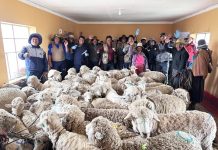 π£π₯π’π©ππ‘πππ ππ ππ¨ππ‘πππ‘πΜ ππππ©π π£π₯π’ππ¨ππππ’Μπ‘ π’π©ππ‘π ππ’π‘ ππ‘π¦ππ ππ‘ππππ’Μπ‘ ππ₯π§πππππππ π π§πππ π£π’ ππππ’