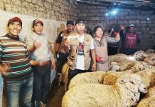 π’π©ππ‘π’π¦ π‘π’π₯π§π: ππ‘ππππ ππ π¦πππ¨π‘ππ ππ§ππ£π ππ ππ‘π¦ππ ππ‘ππππ’Μπ‘ ππ₯π§πππππππ π π§πππ π£π’ ππππ’ ππ‘ πππΜπ‘πππ₯π’