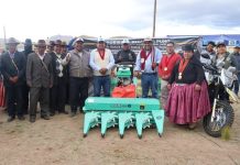TORO RAYMI POMATA 2025: CONCURSO DEL TORO ENGORDADO SE DESARROLLΓ CON ΓXITO EN IRUJANI TUQUINA