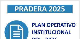 PLAN OPERATIVO INSTITUCIONAL POI – 2026