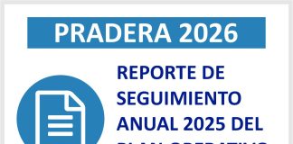 REPORTE DE SEGUIMIENTO ANUAL 2025 DEL PLAN OPERATIVO INSTITUCIONAL